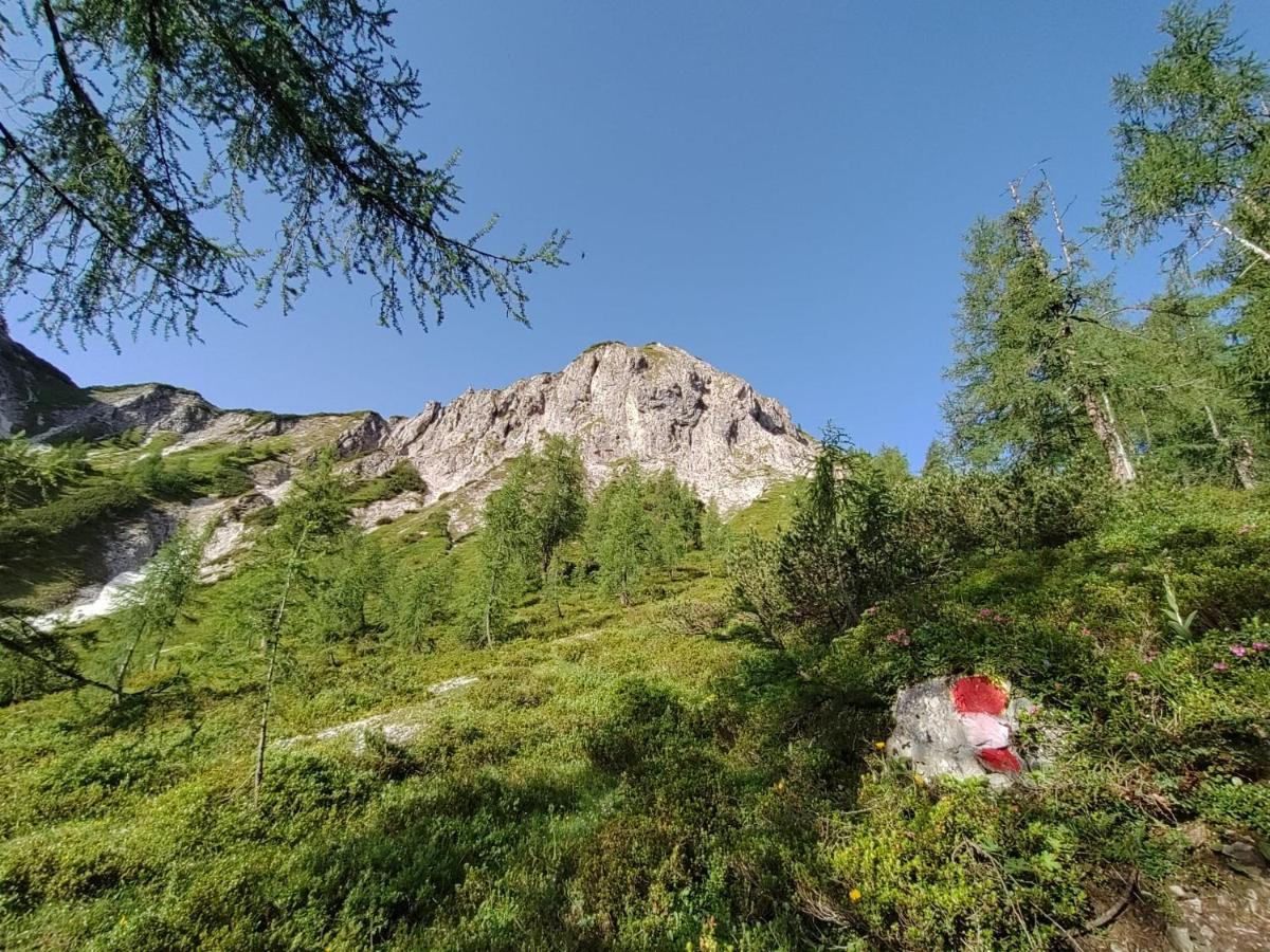 Firstpeak Chalets Zauchensee Exteriér fotografie
